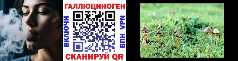 Псилоцибиновые грибы GOLDEN TEACHER Пикалёво