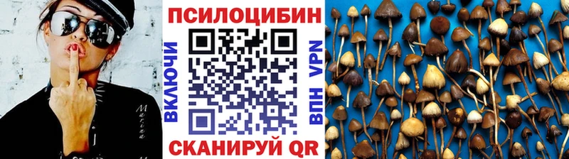 omg онион Пикалёво Галлюциногенные грибы прущие грибы купить наркотики цена
